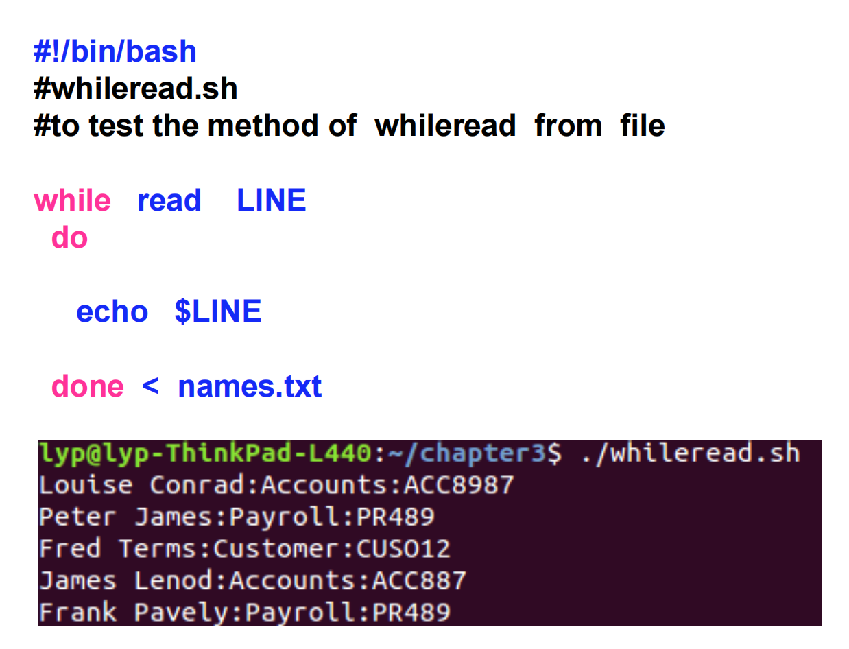 Linux笔记-学校课程-第三章-while语句-3